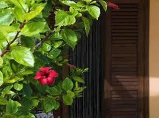 Hibiscus Villa Trapani Holiday home